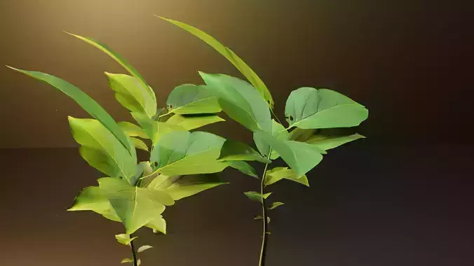 leaf Model Free 3D model
