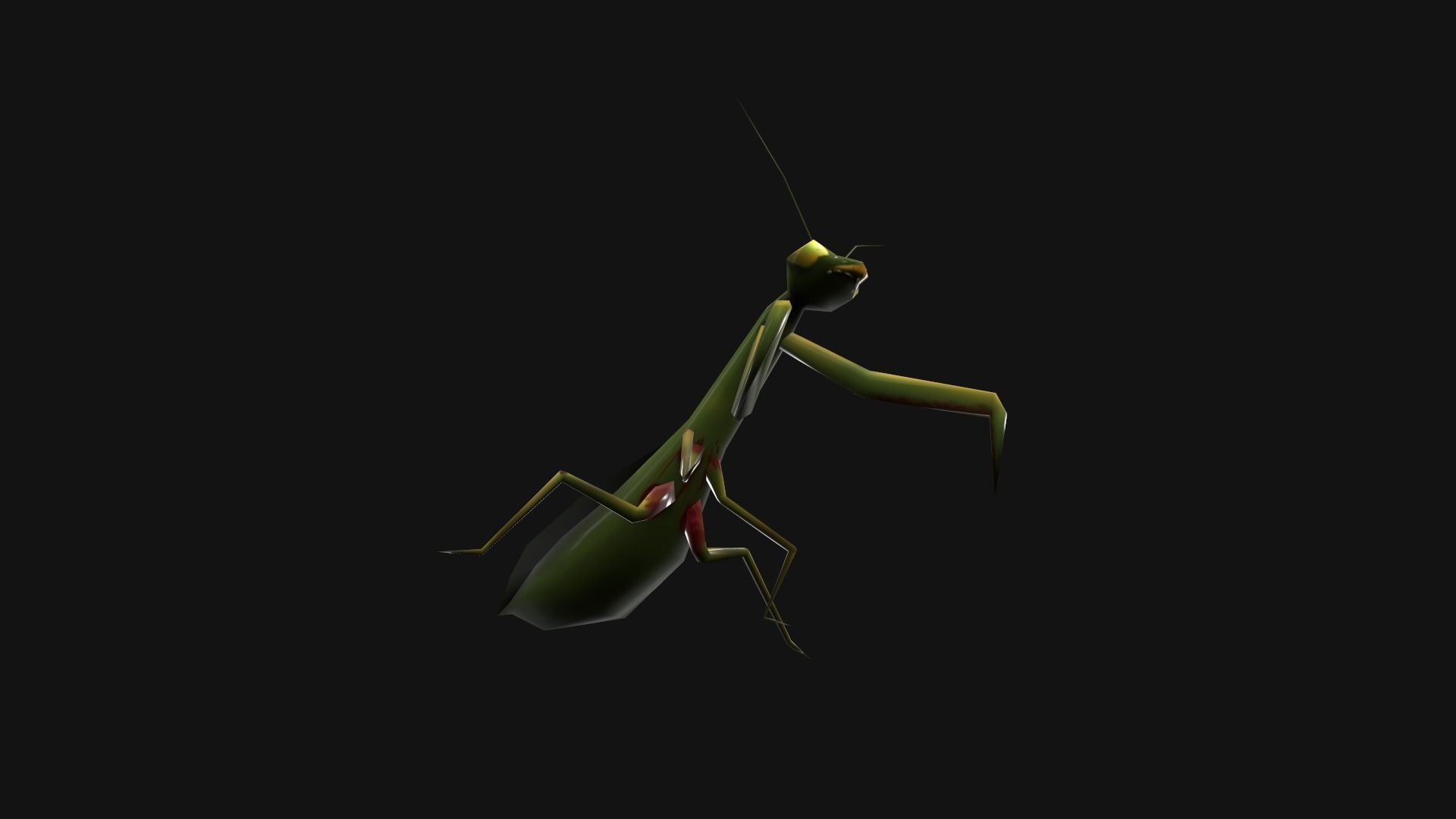 Animated Mantis Low-poly 3D model_7