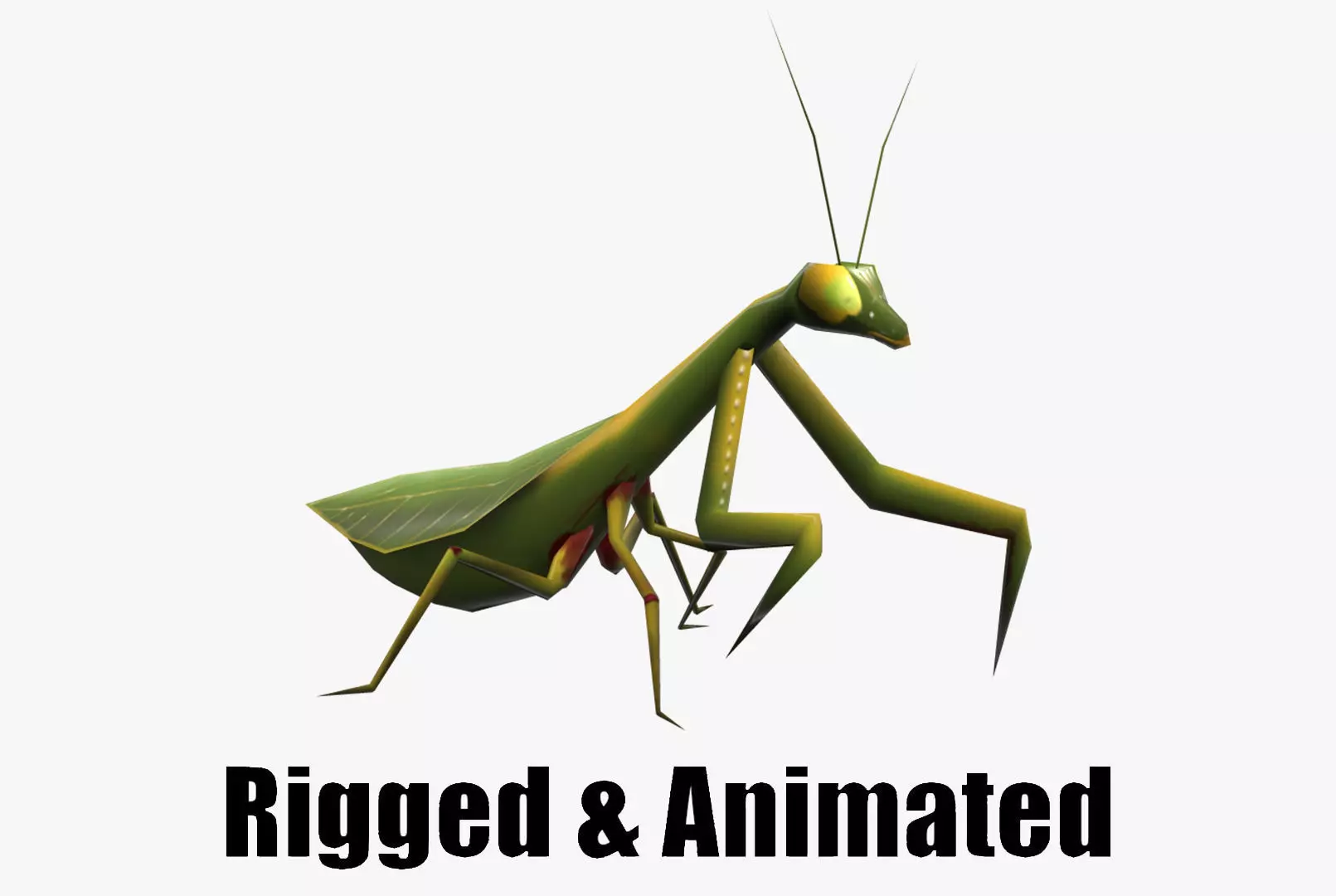 Animated Mantis Low-poly 3D model_0