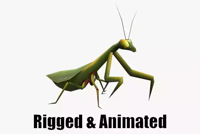 Animated Mantis Low-poly 3D model
