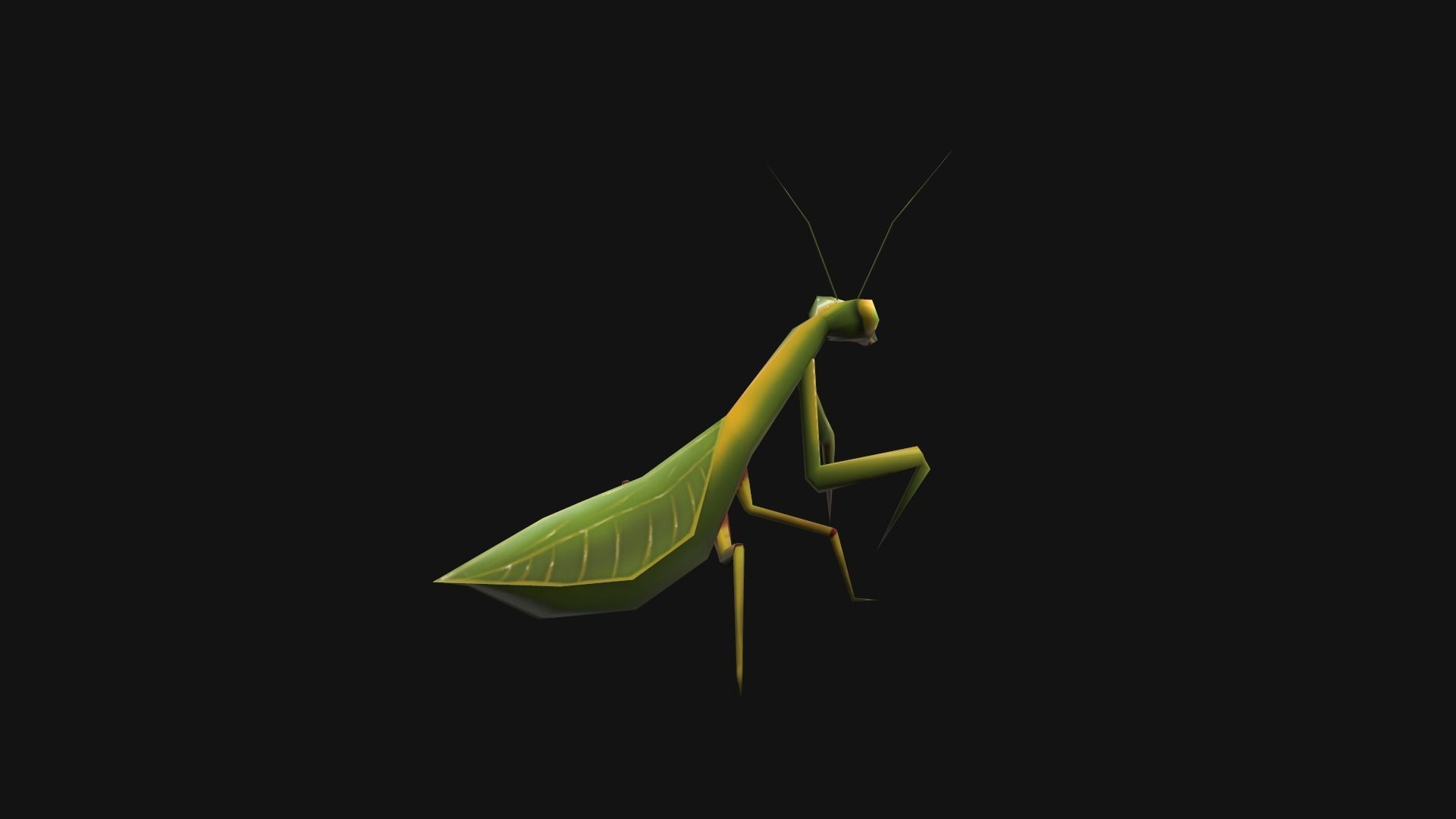 Animated Mantis Low-poly 3D model_5