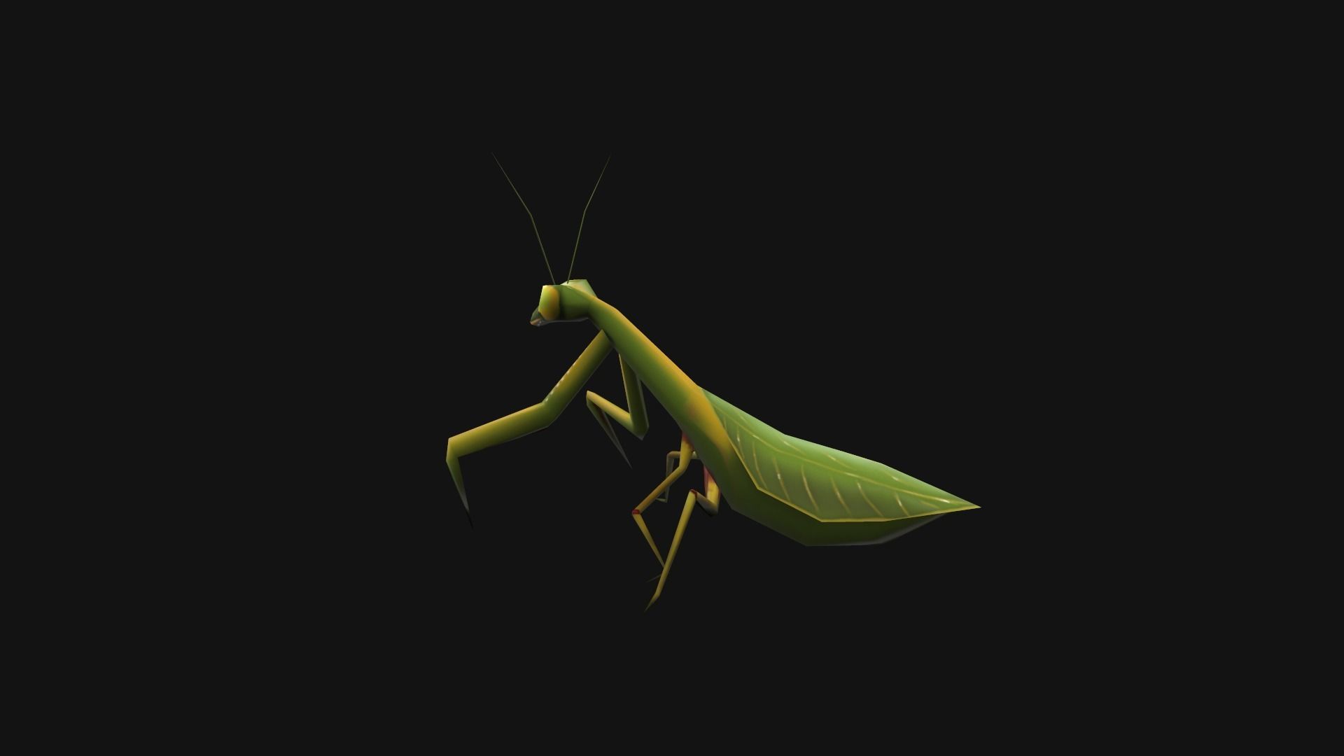 Animated Mantis Low-poly 3D model_3