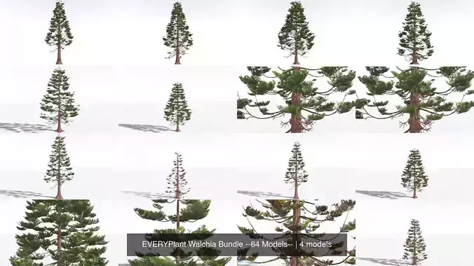 EVERYPlant Walchia Bundle --64 Models-- 3D Model Collection