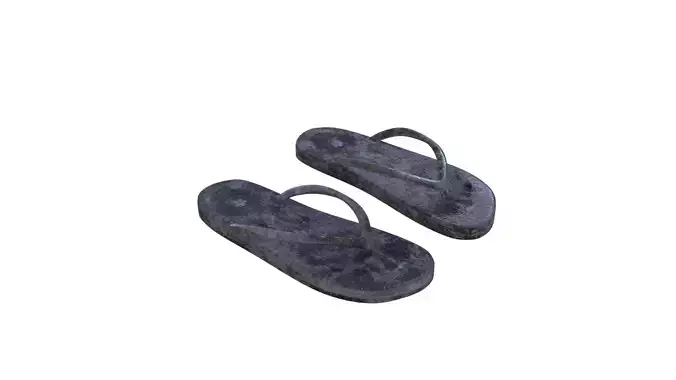 Dirty Flip Flops
