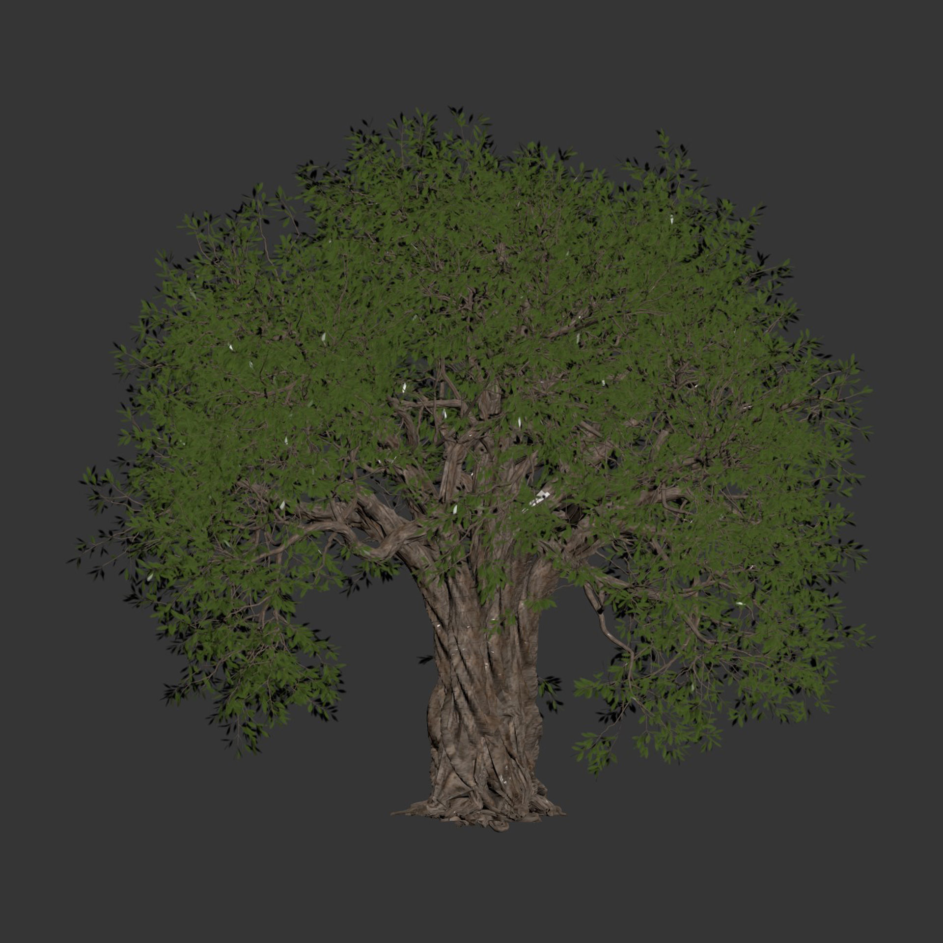 Mysterious tree vol 251 Low-poly 3D model_3