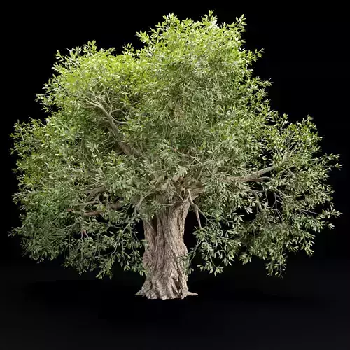 Mysterious tree vol 251 Low-poly 3D model