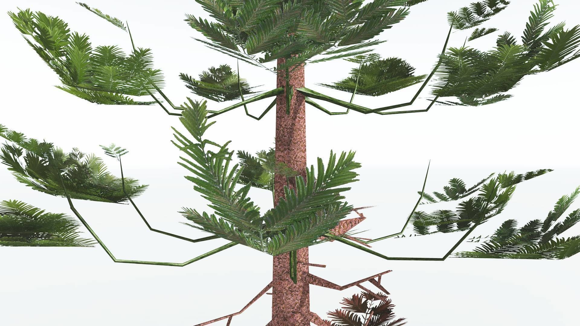 EVERYPlant Walchia LowPoly 1 --16 Models-- Low-poly 3D model_25