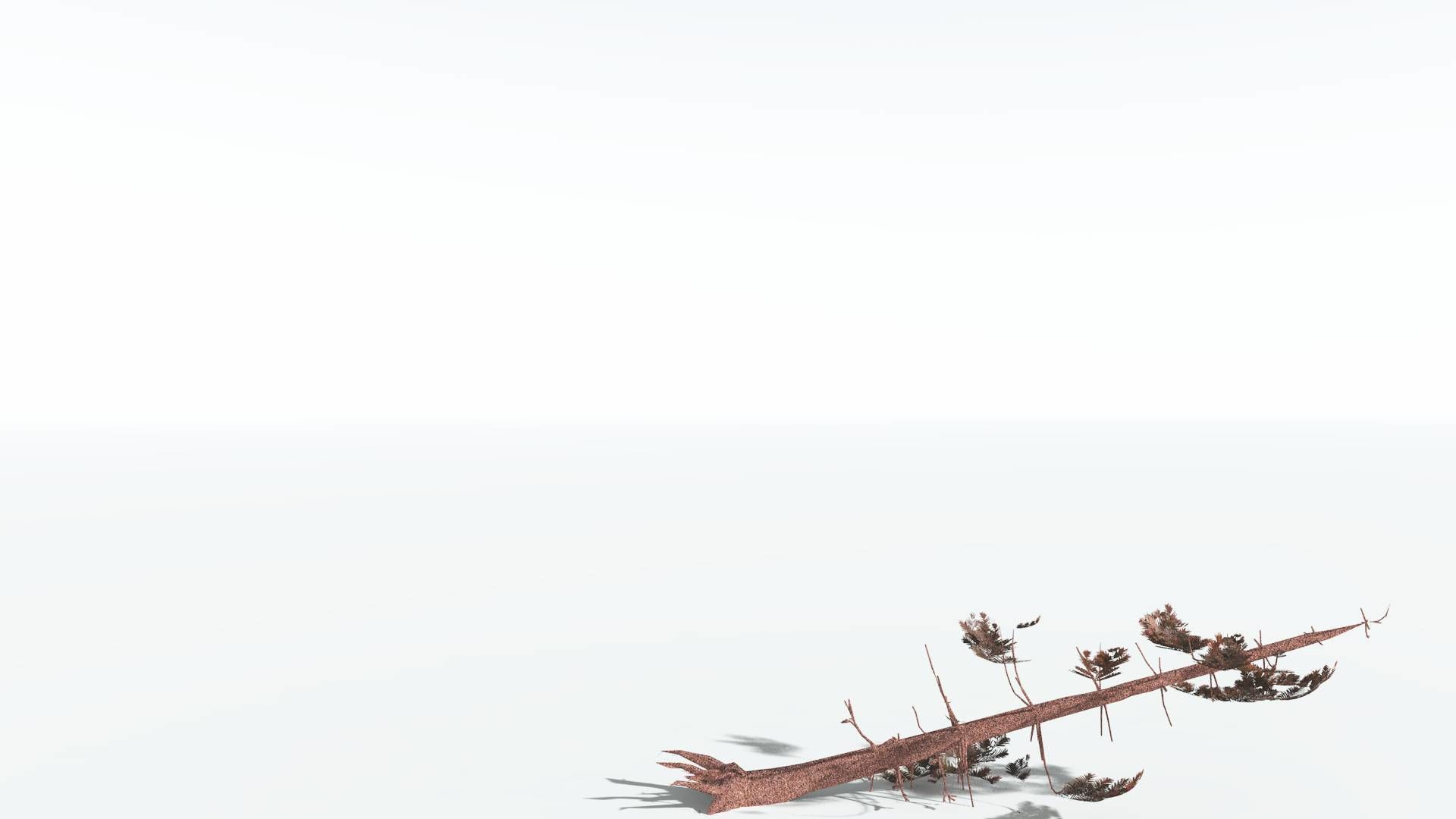 EVERYPlant Walchia LowPoly 1 --16 Models-- Low-poly 3D model_14