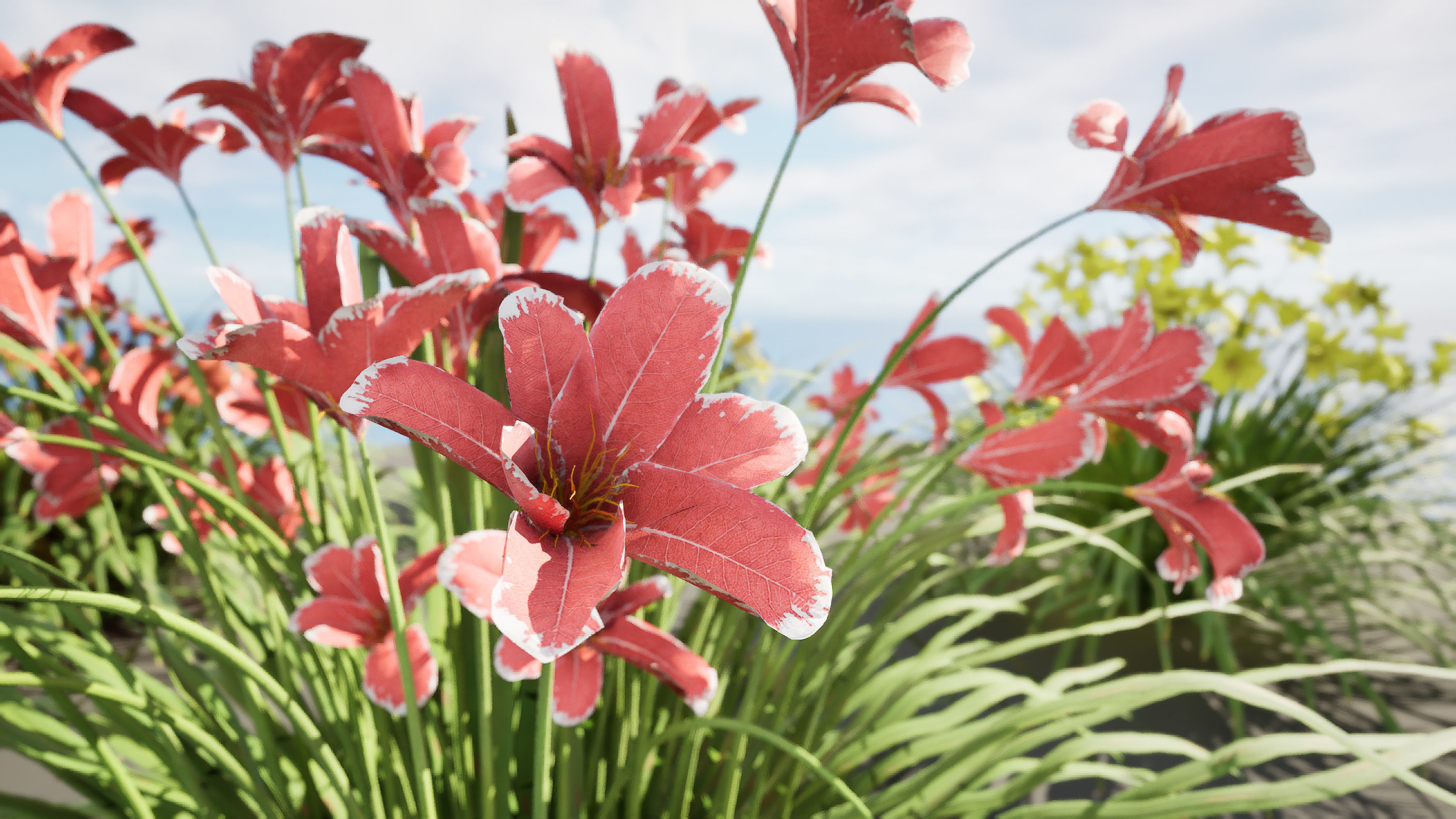 Happy Returns Daylily Color mix flowers with free 3d tutorial Low-poly 3D model_12