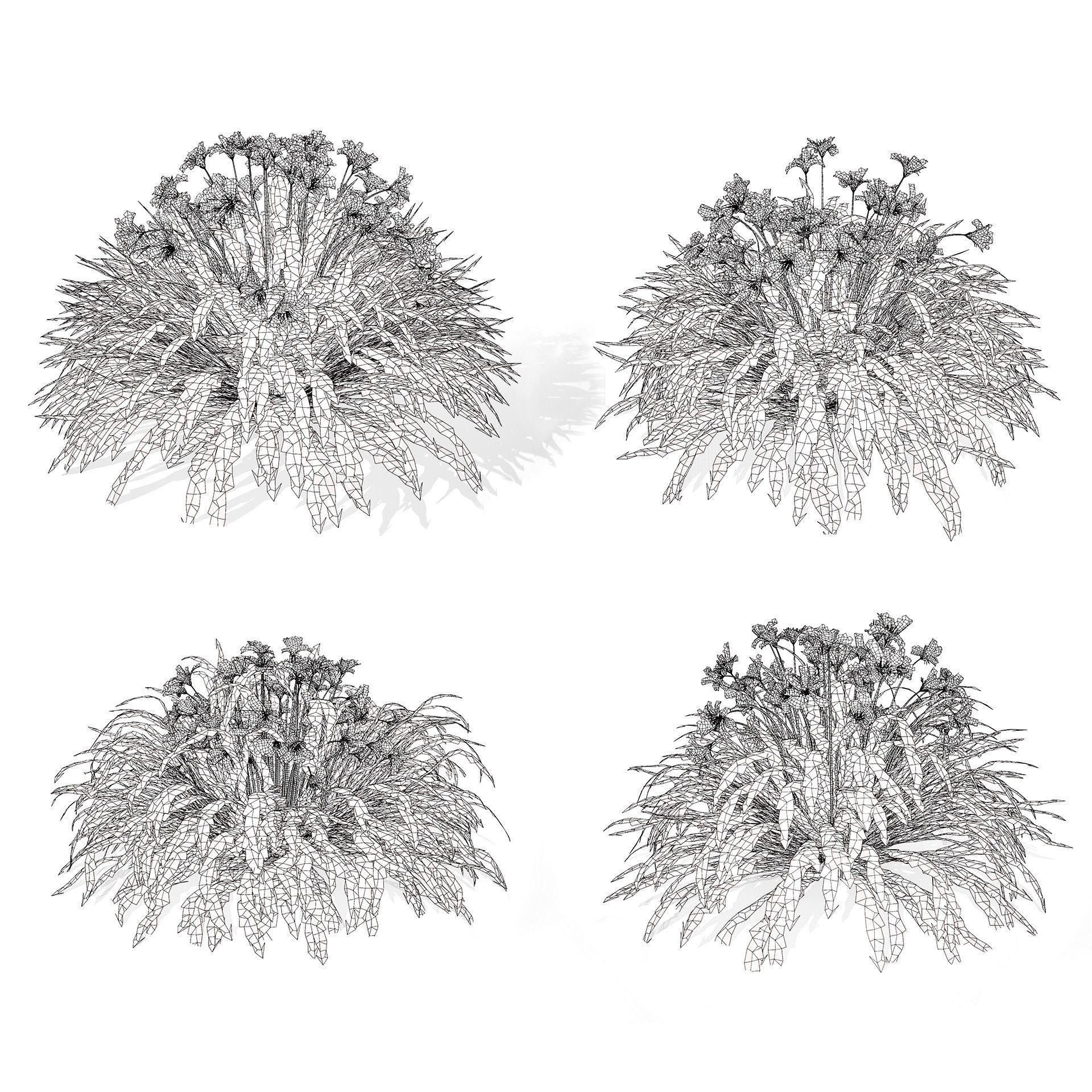 Happy Returns Daylily Color mix flowers with free 3d tutorial Low-poly 3D model_14