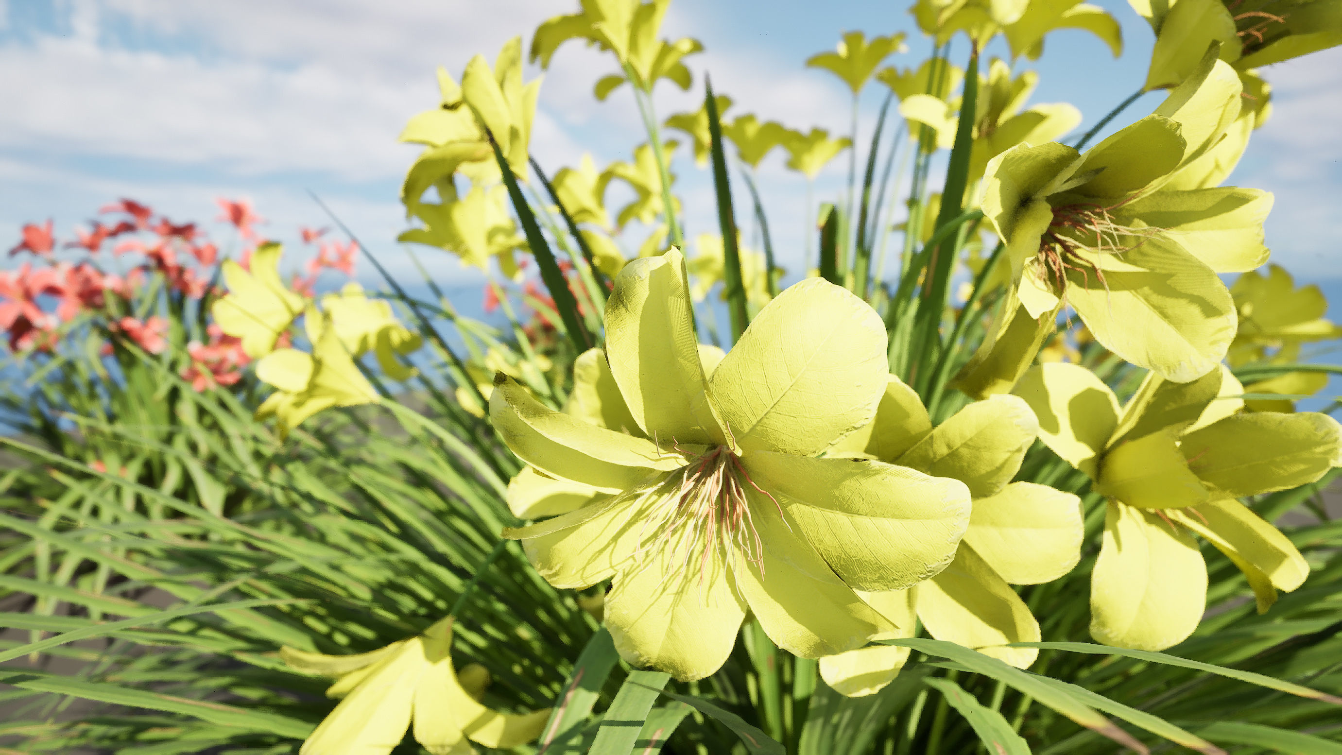 Happy Returns Daylily Color mix flowers with free 3d tutorial Low-poly 3D model_13