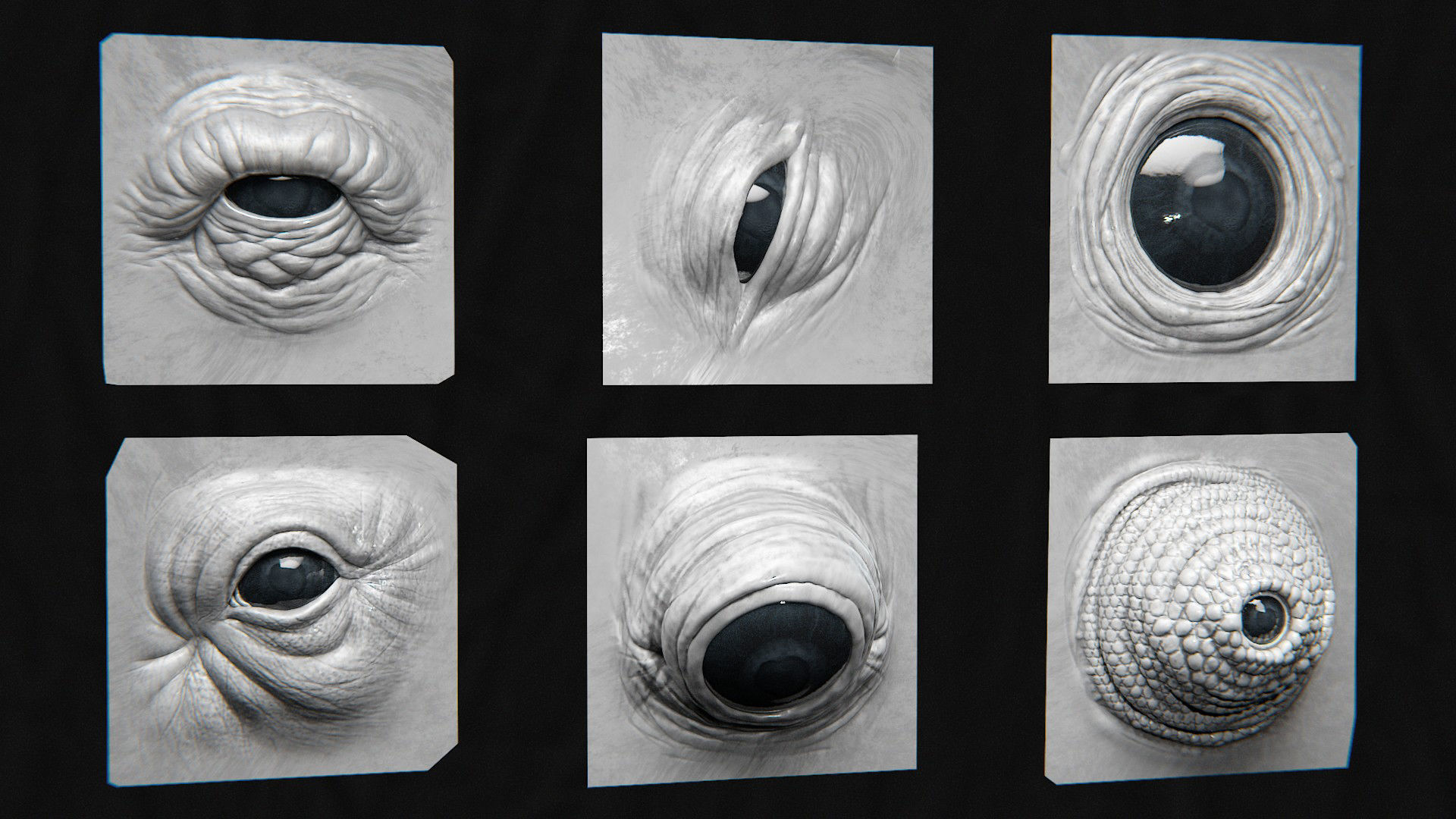 44 EYE - High Detailed Eye For Creatures - VDM Zbursh Blender 3D model_10
