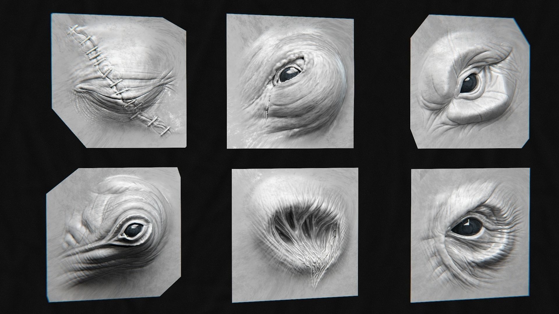 44 EYE - High Detailed Eye For Creatures - VDM Zbursh Blender 3D model_6