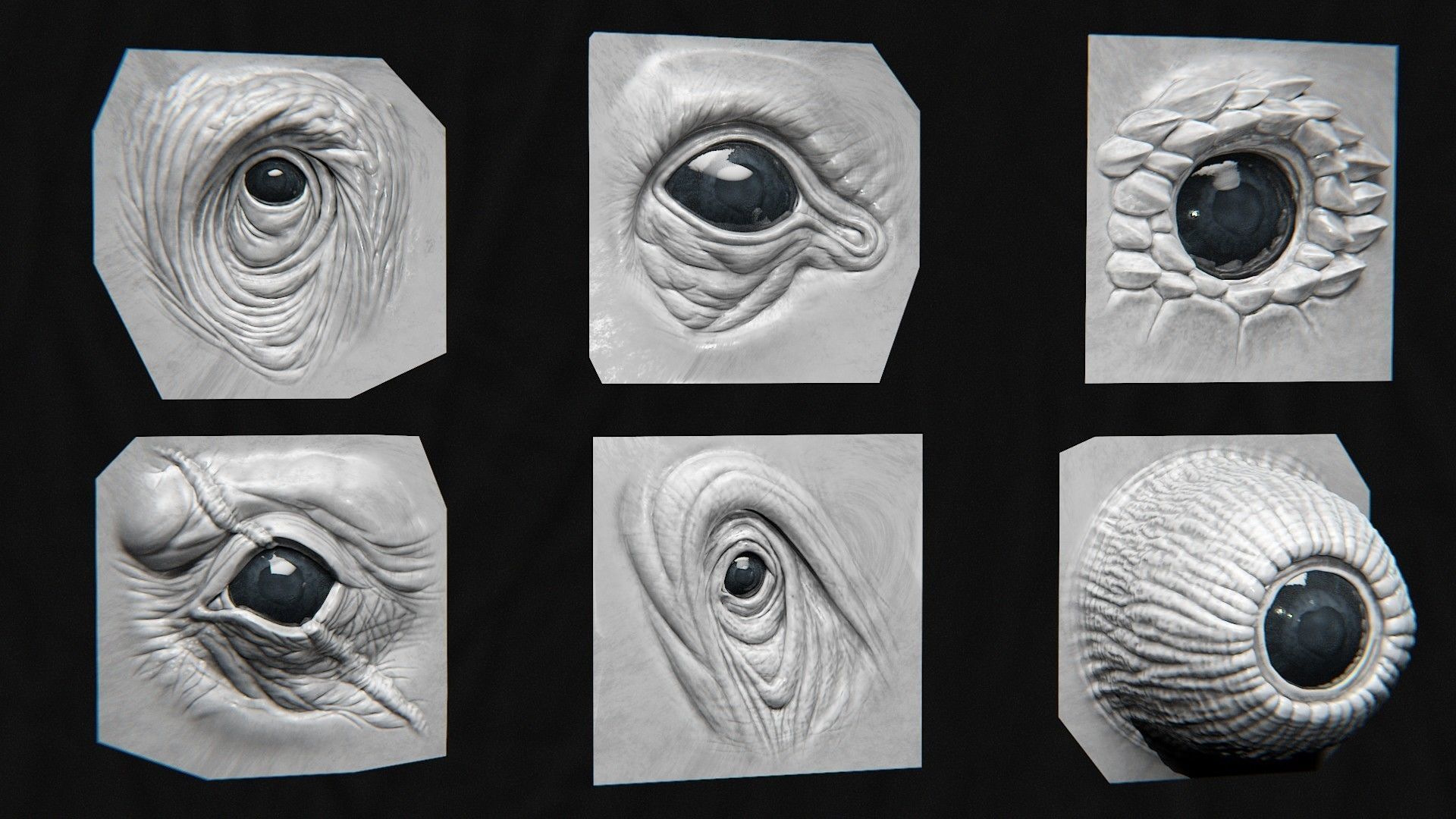 44 EYE - High Detailed Eye For Creatures - VDM Zbursh Blender 3D model_8