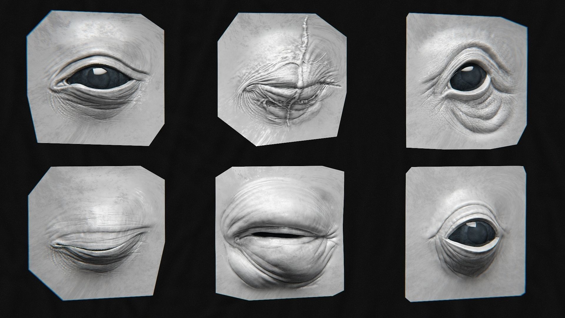 44 EYE - High Detailed Eye For Creatures - VDM Zbursh Blender 3D model_5