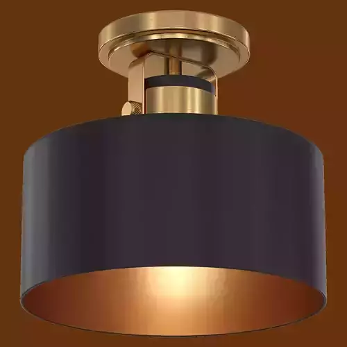  Possini Euro Courtney Gold Matte Black Ceiling Light