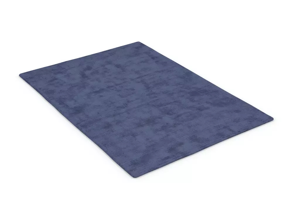 Carpet 3D model_0