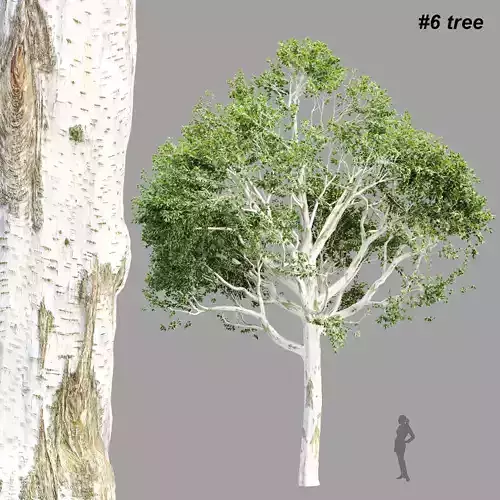 Trees Collection vol 252-3dsmax-blender