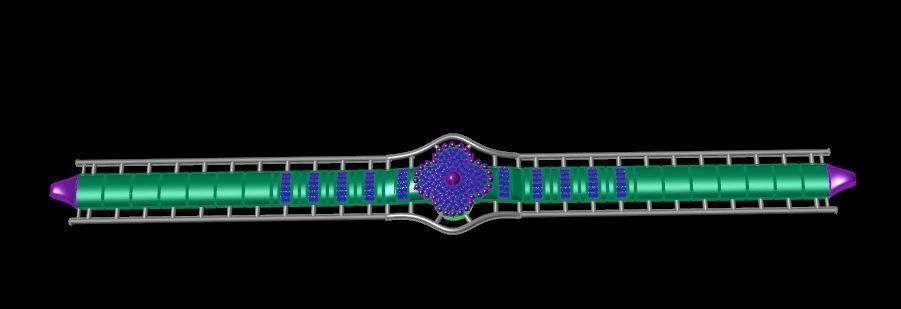 Bracelet 3D print model_5