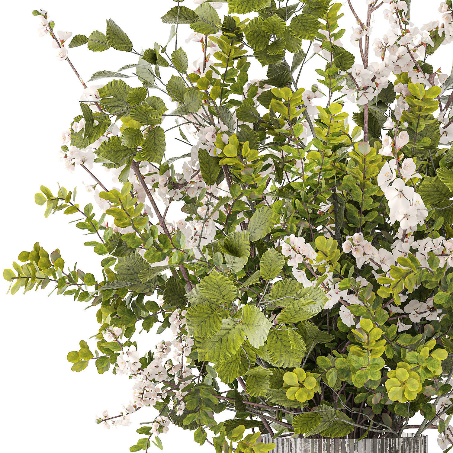 Bouquet of cherry blossom branches with green leaves in a vase  3D model_11