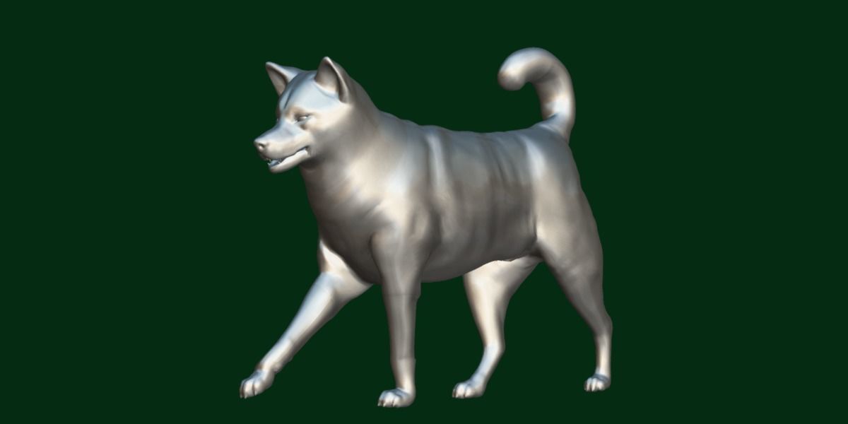 Ainu Dog Breed 3D model_3