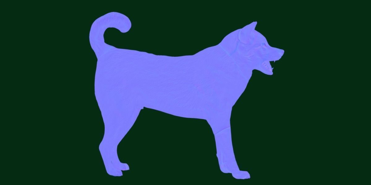 Ainu Dog Breed 3D model_14