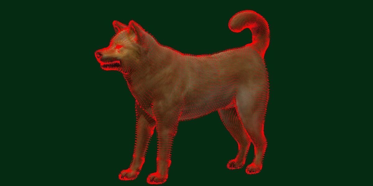 Ainu Dog Breed 3D model_5