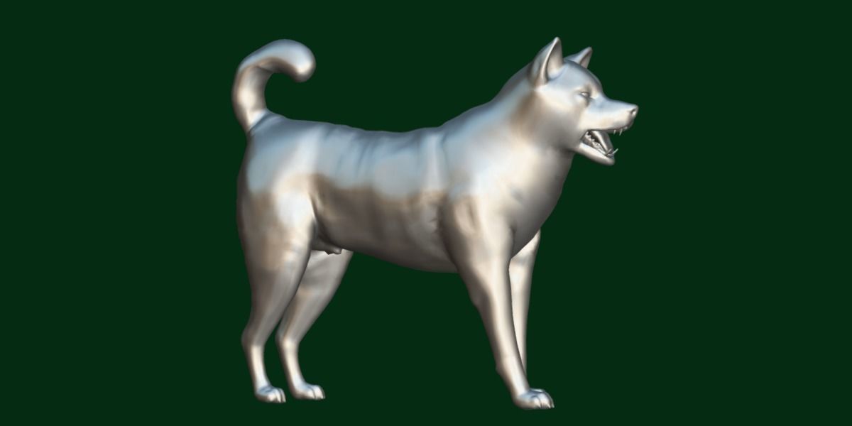 Ainu Dog Breed 3D model_17