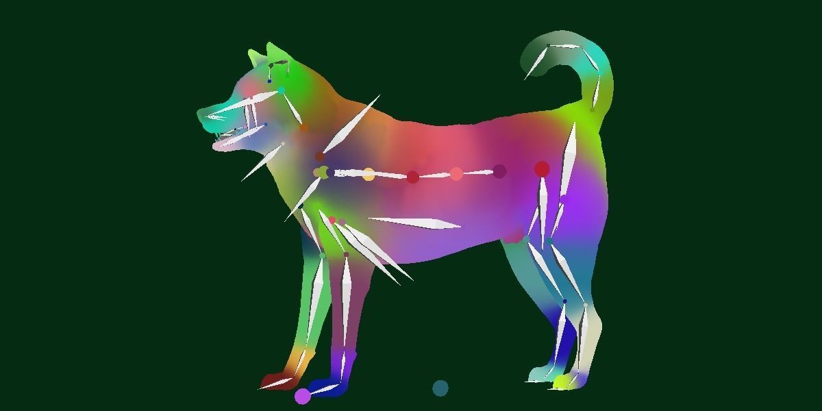 Ainu Dog Breed 3D model_11