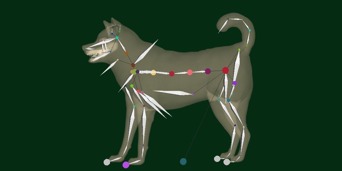 Ainu Dog Breed 3D model_10