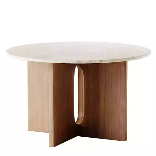  ANDROGYNE table