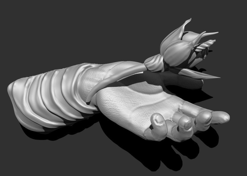 Hand with Flower - Wall Vases 3D print model_15