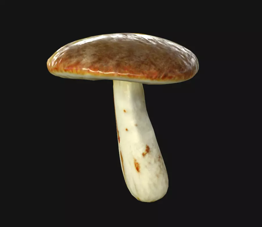 Brown Mushroom Low-poly 3D model