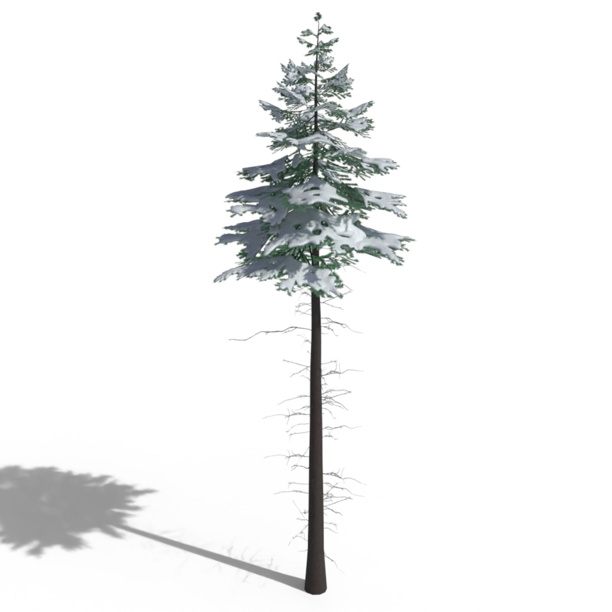 Low Poly Snowy Spruce Tree Pack Low-poly 3D model_19