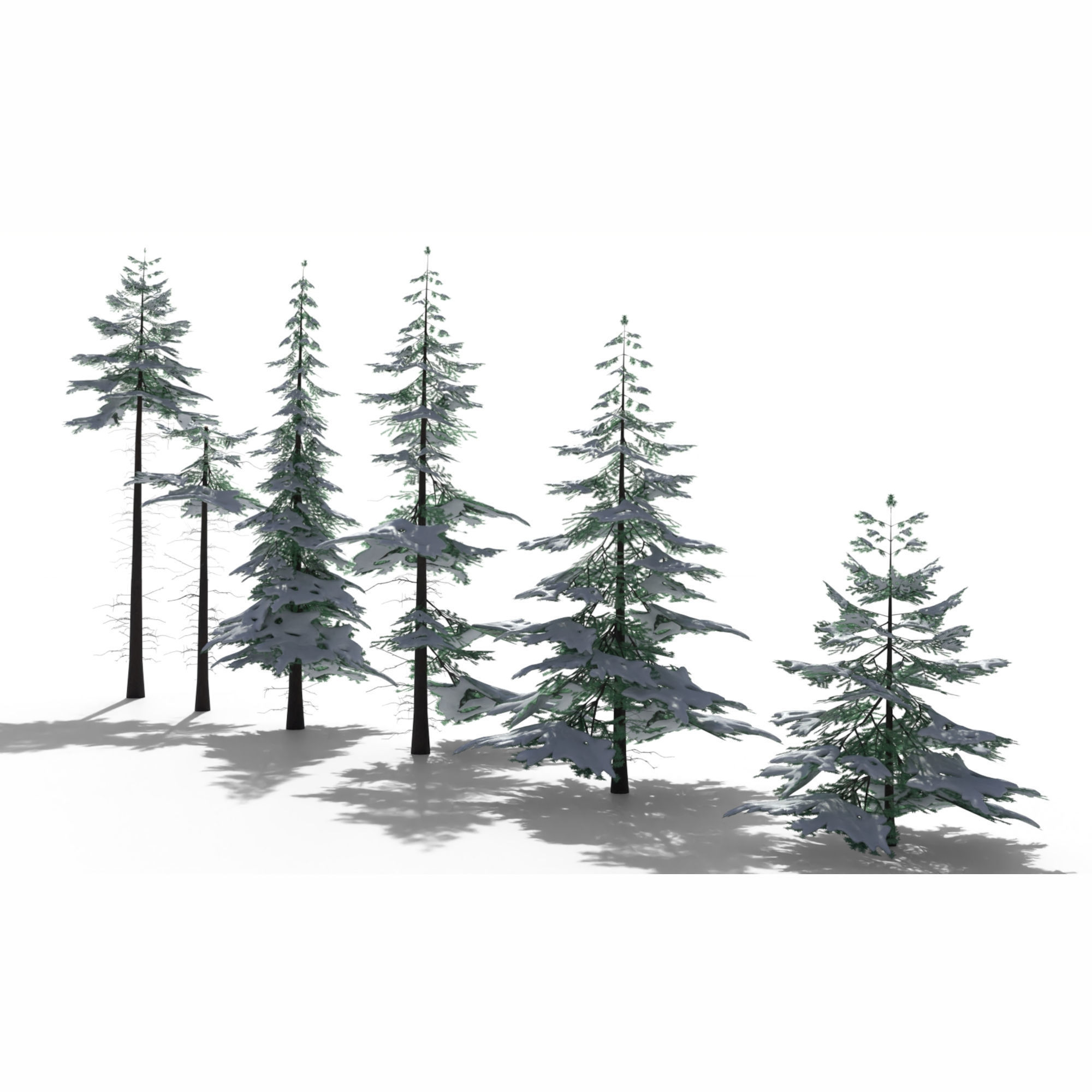 Low Poly Snowy Spruce Tree Pack Low-poly 3D model_5