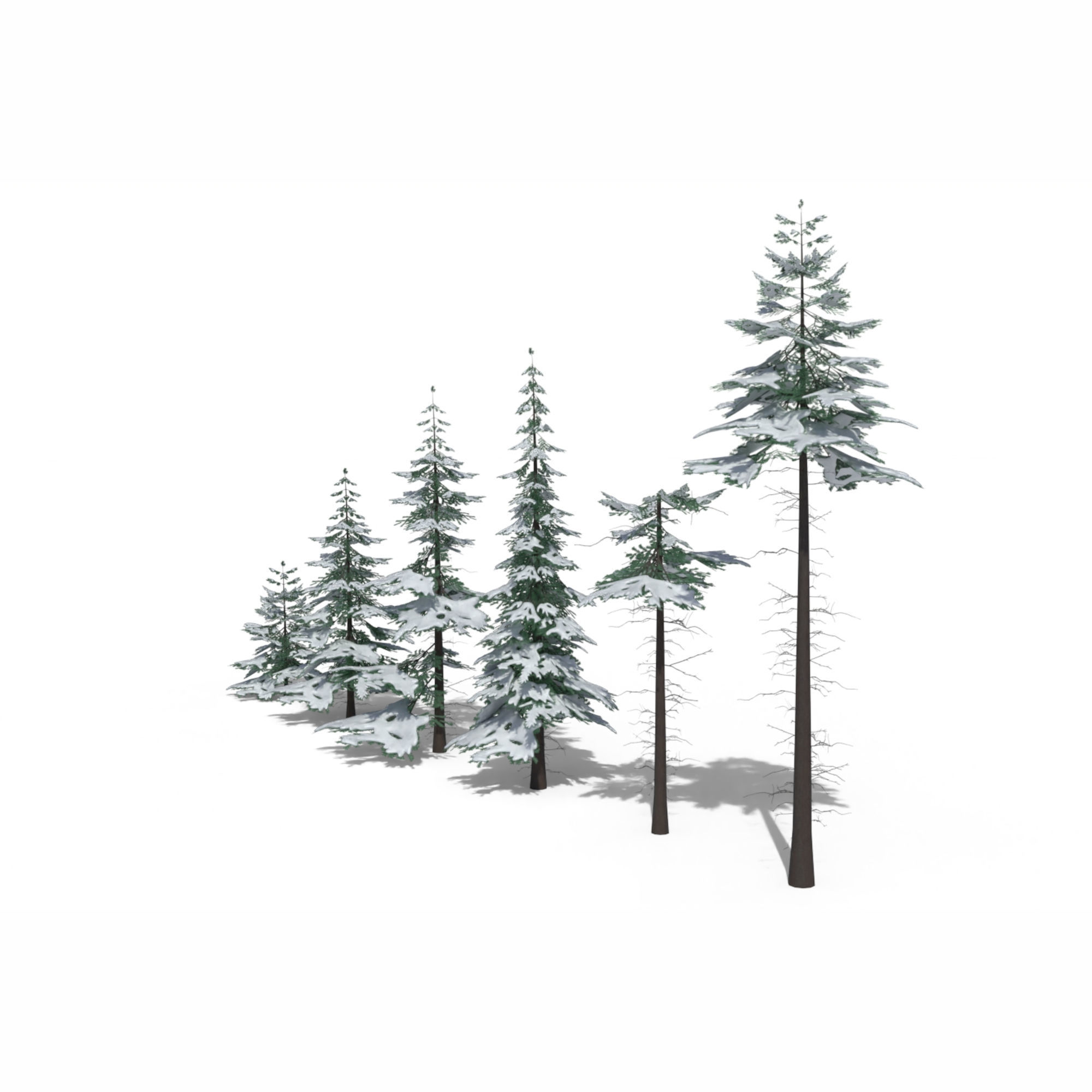 Low Poly Snowy Spruce Tree Pack Low-poly 3D model_1