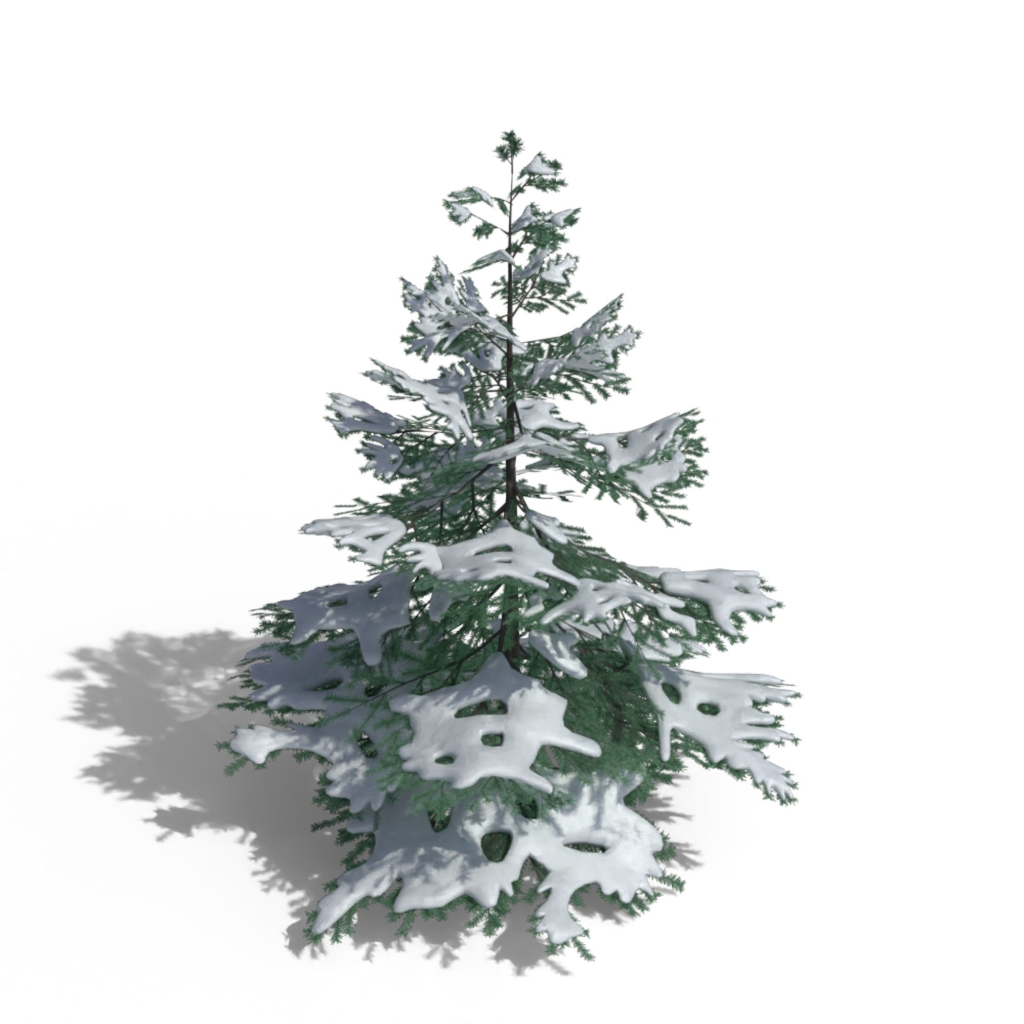 Low Poly Snowy Spruce Tree Pack Low-poly 3D model_9