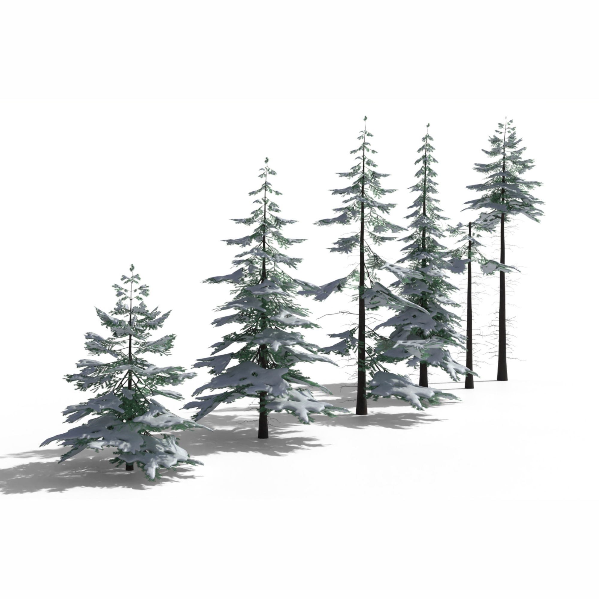 Low Poly Snowy Spruce Tree Pack Low-poly 3D model_7
