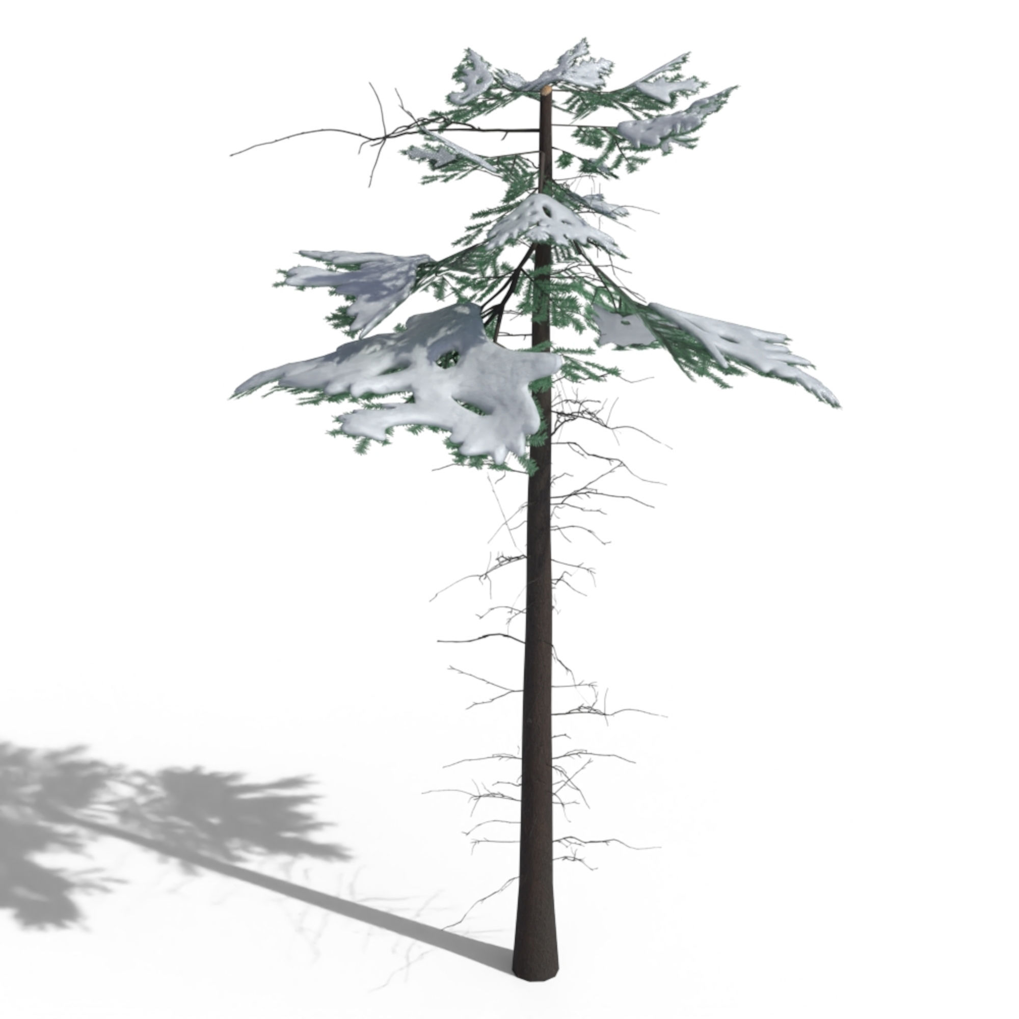 Low Poly Snowy Spruce Tree Pack Low-poly 3D model_17