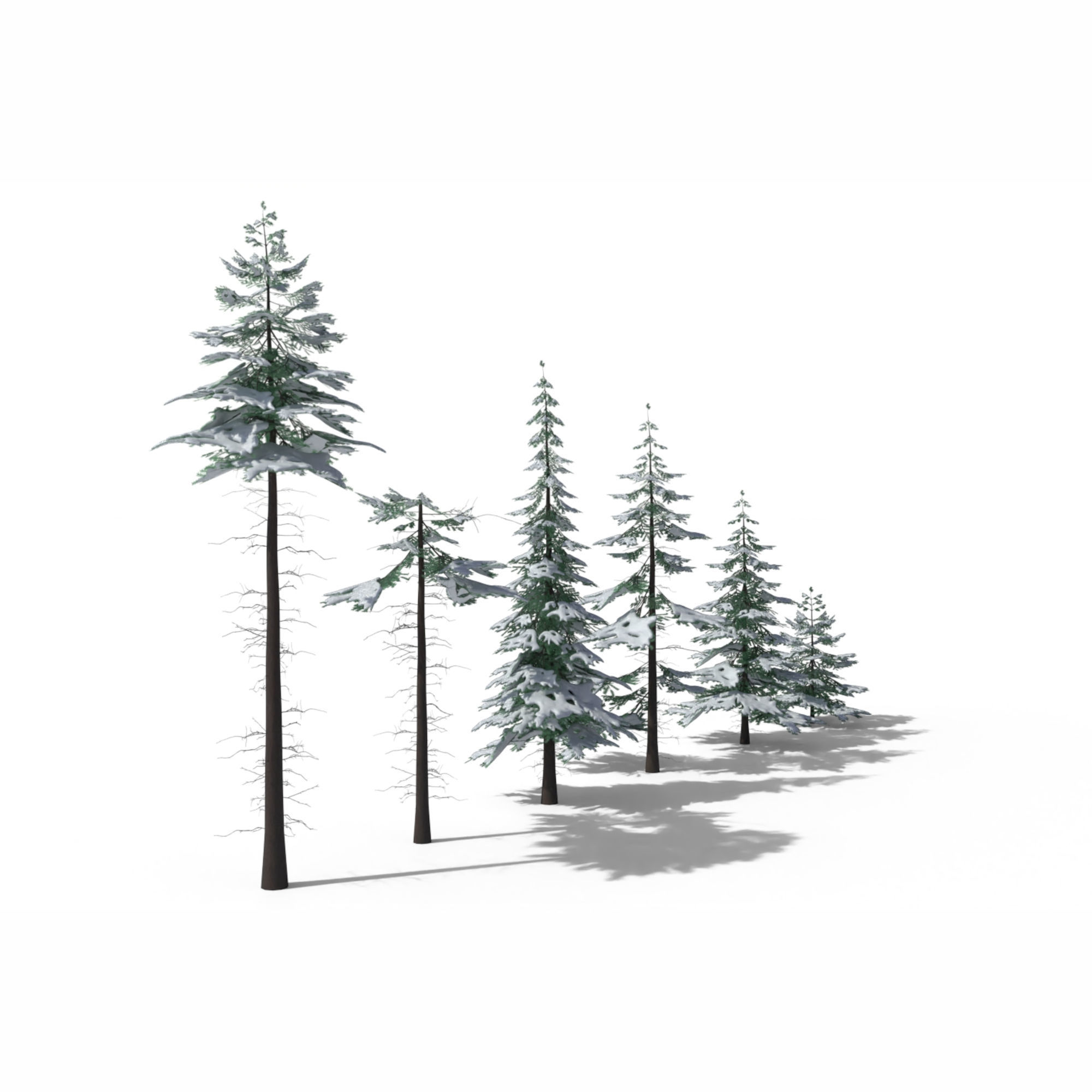 Low Poly Snowy Spruce Tree Pack Low-poly 3D model_3