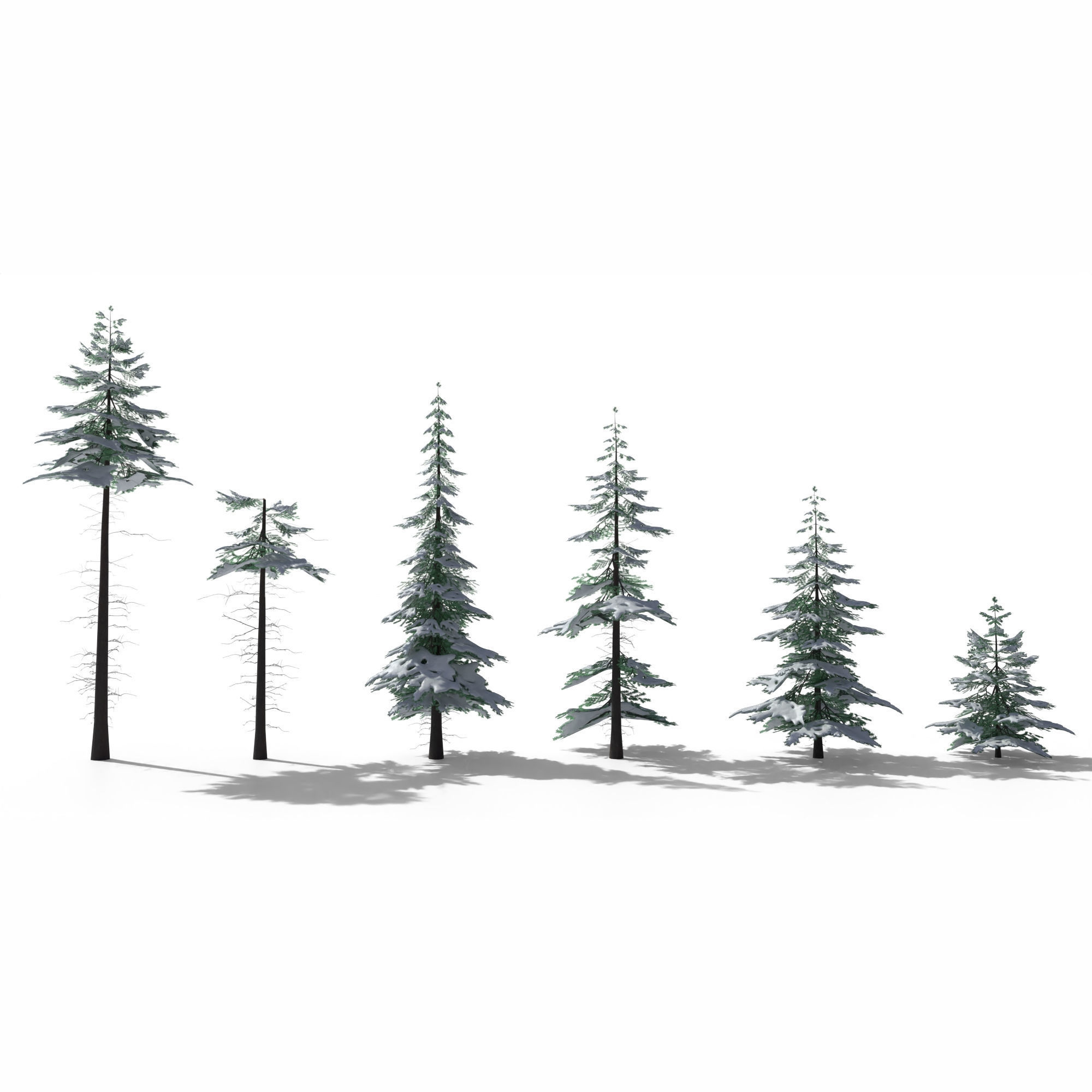 Low Poly Snowy Spruce Tree Pack Low-poly 3D model_4