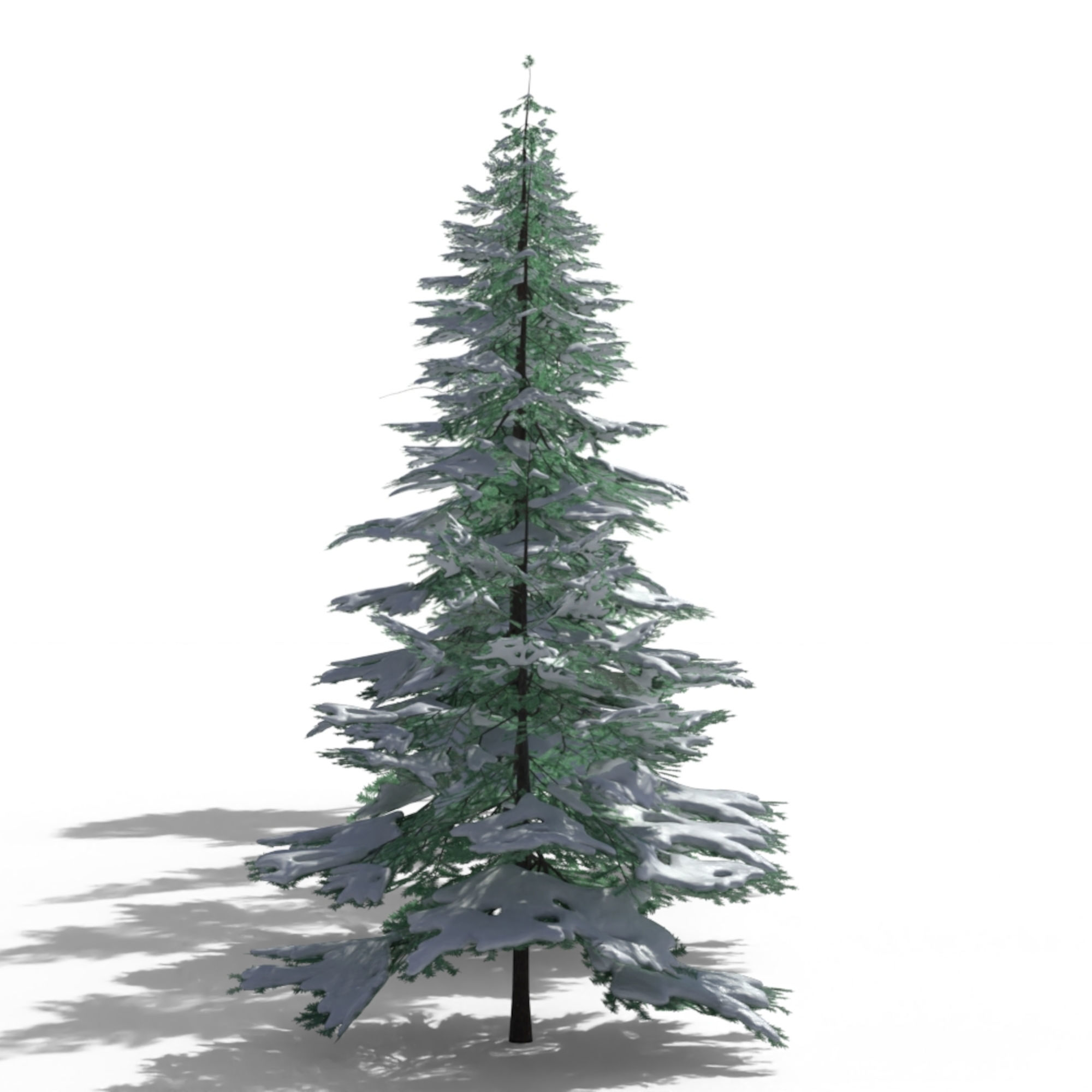 Low Poly Snowy Spruce Tree Pack Low-poly 3D model_6
