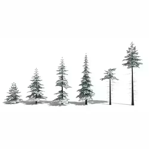 Low Poly Snowy Spruce Tree Pack