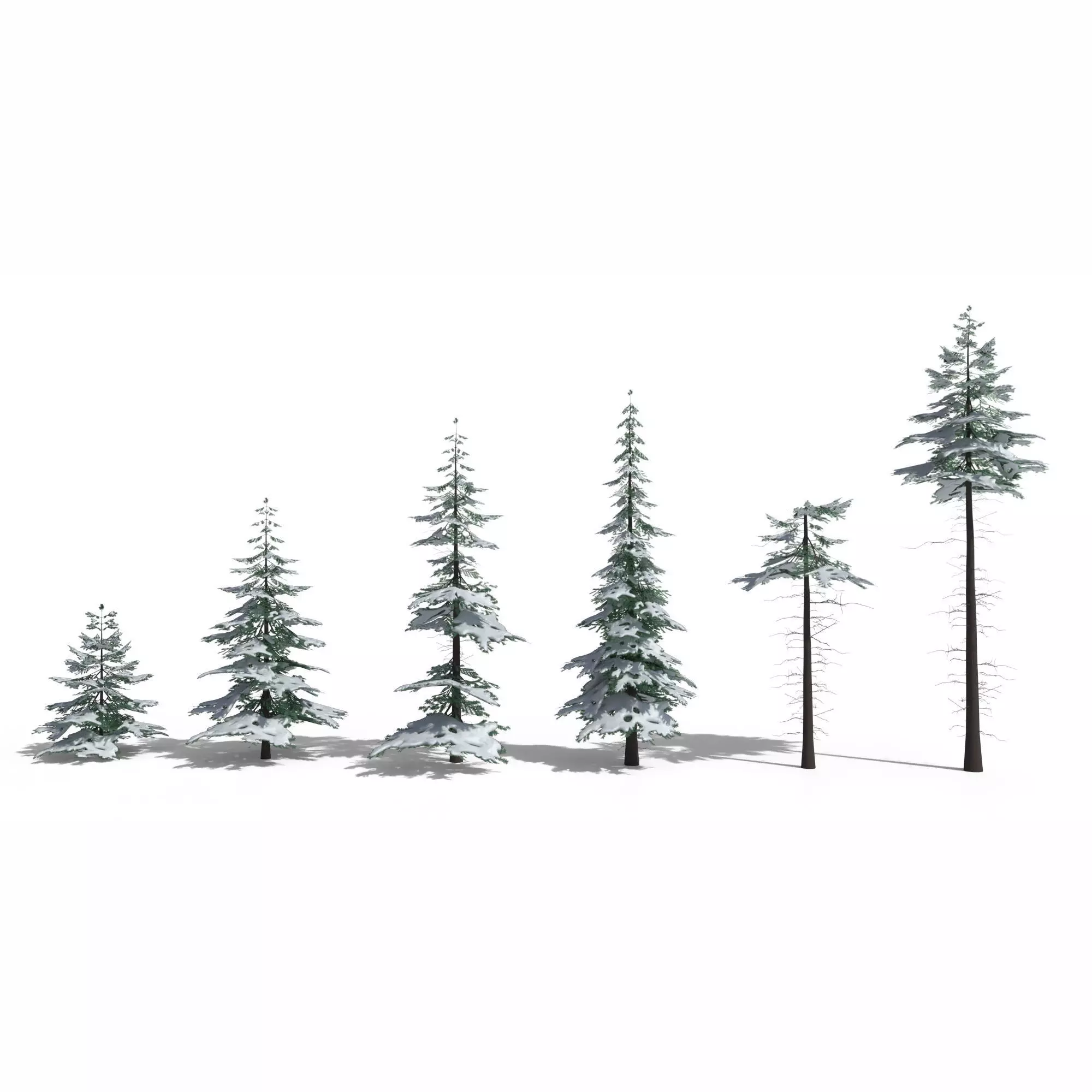 Low Poly Snowy Spruce Tree Pack Low-poly 3D model_0