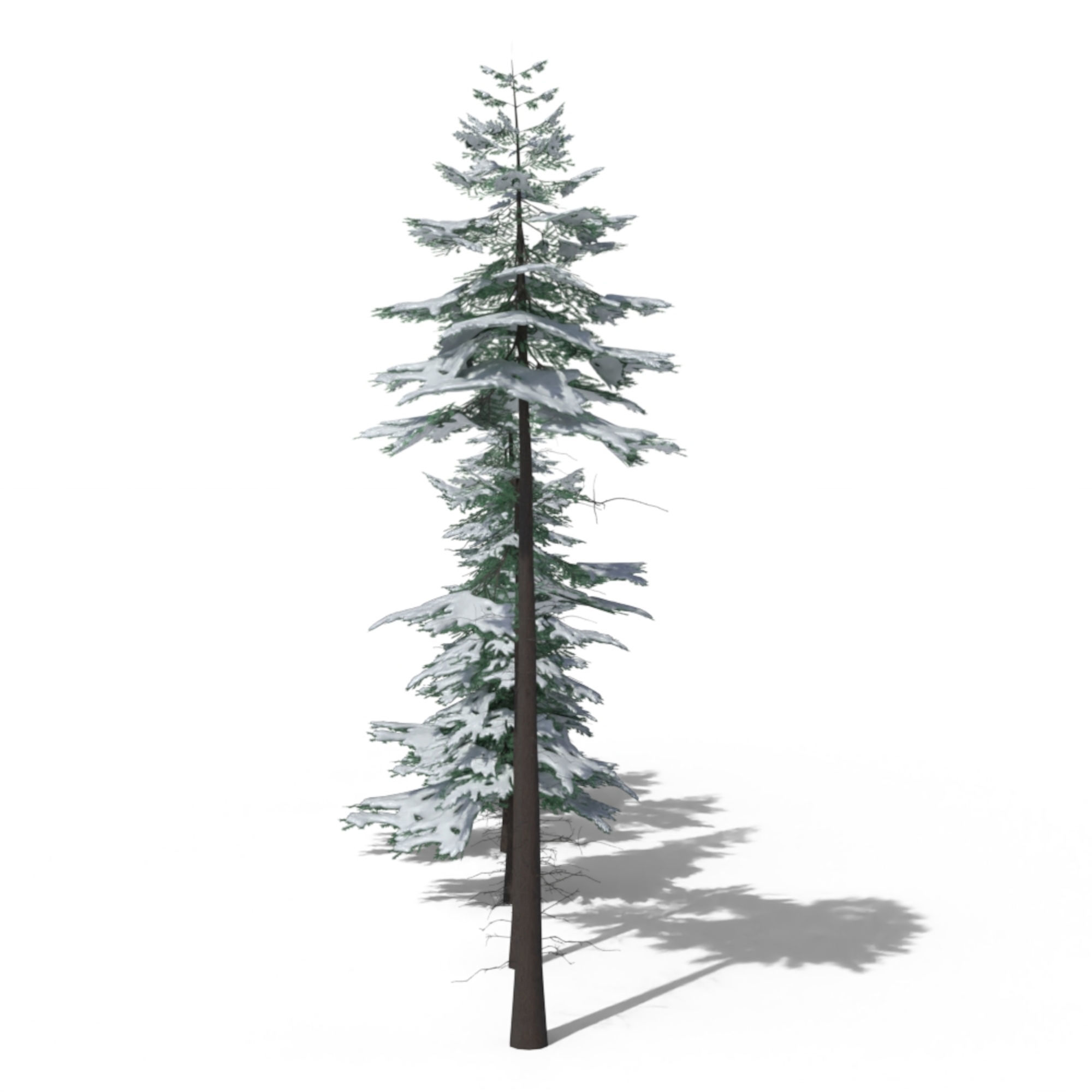 Low Poly Snowy Spruce Tree Pack Low-poly 3D model_2