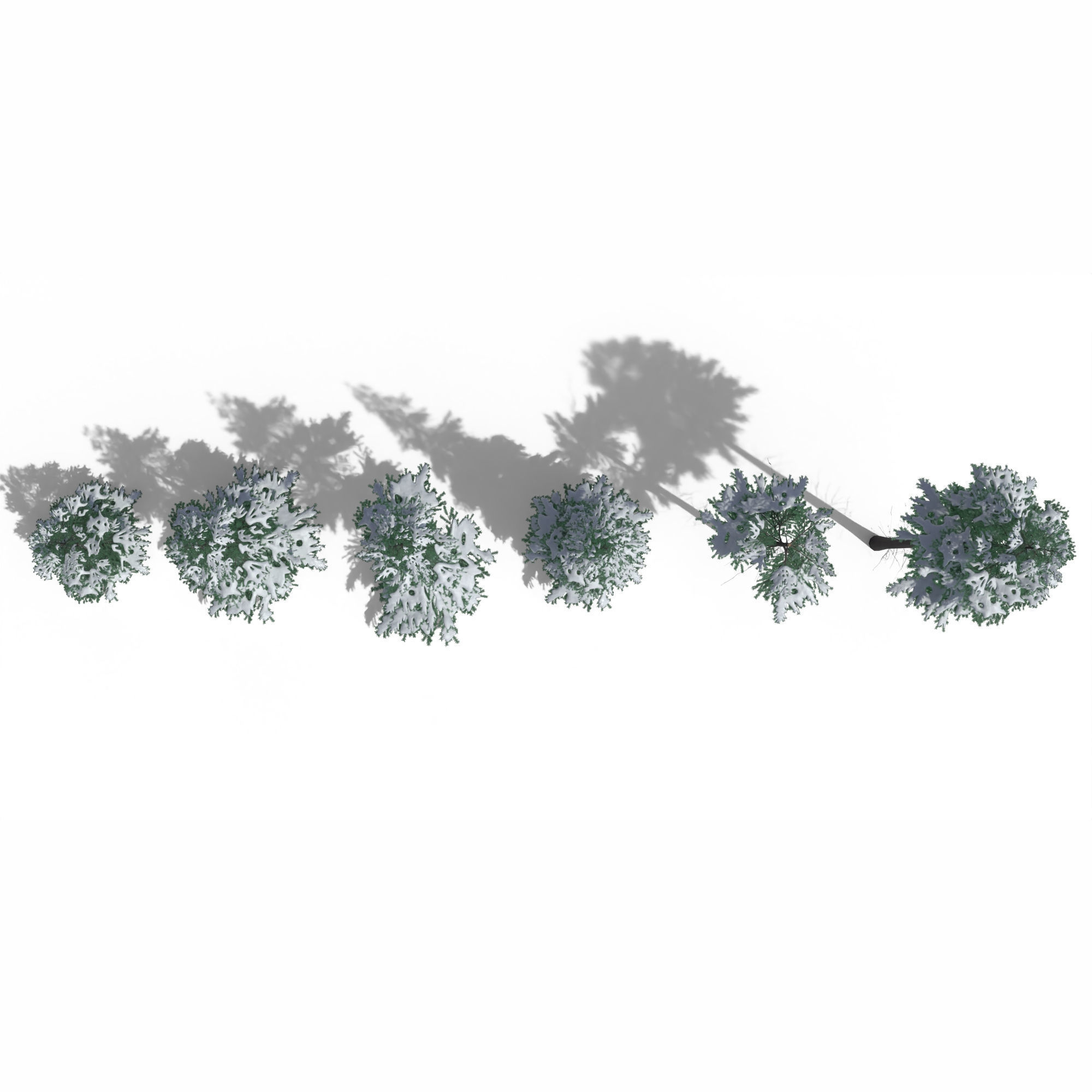 Low Poly Snowy Spruce Tree Pack Low-poly 3D model_8