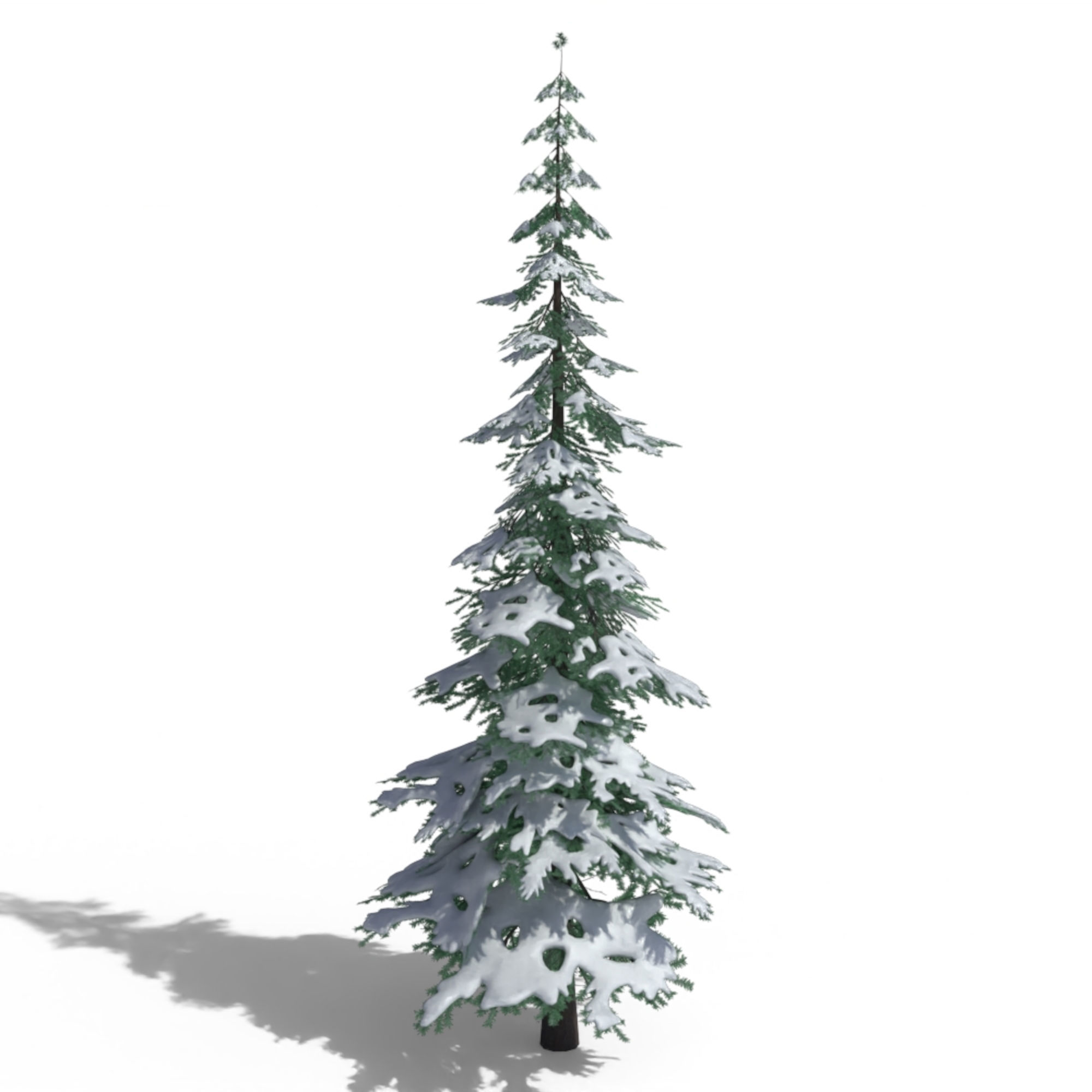 Low Poly Snowy Spruce Tree Pack Low-poly 3D model_15