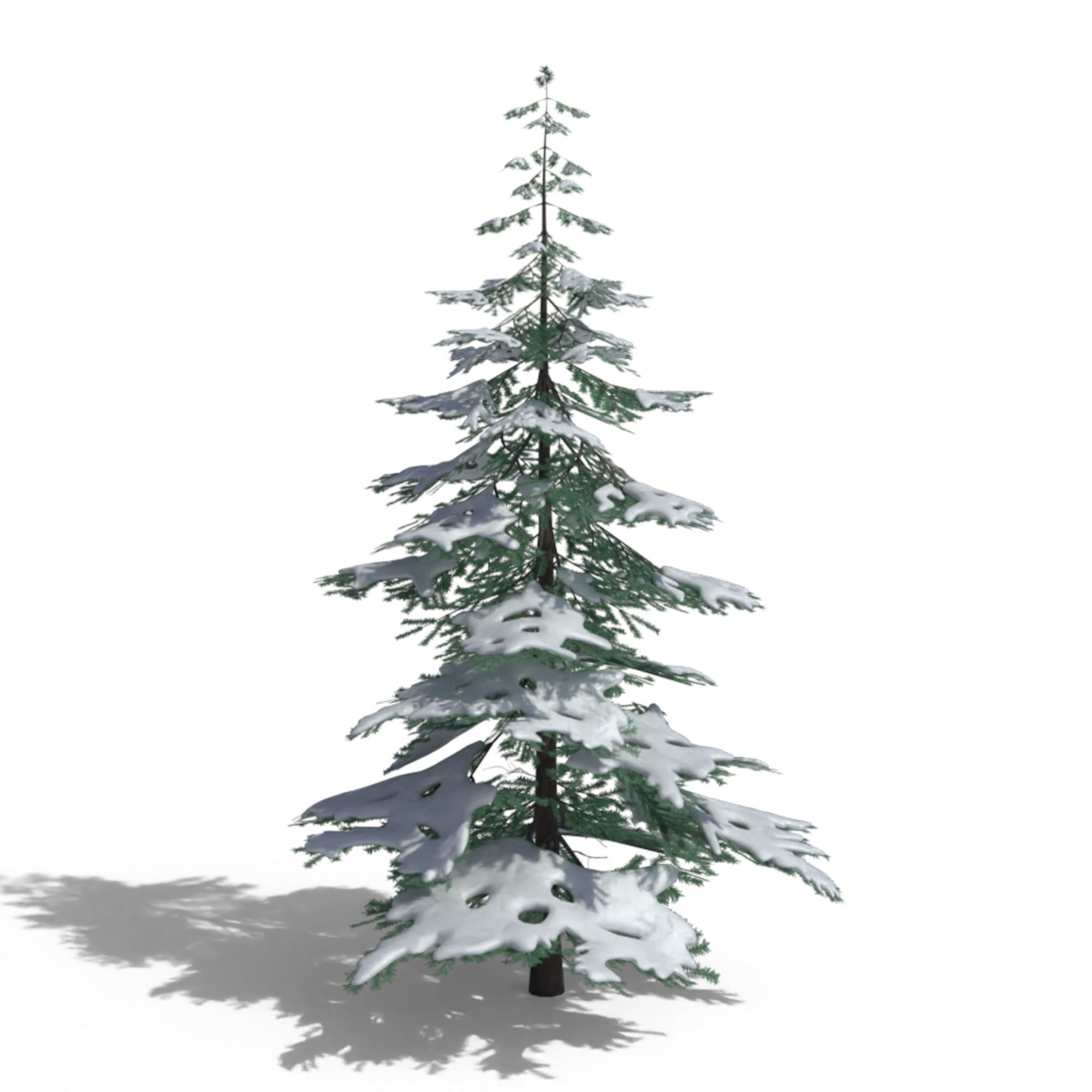 Low Poly Snowy Spruce Tree Pack Low-poly 3D model_11