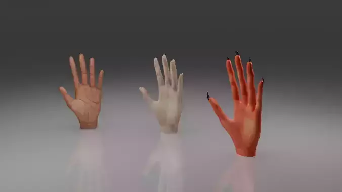 Hands 3D model