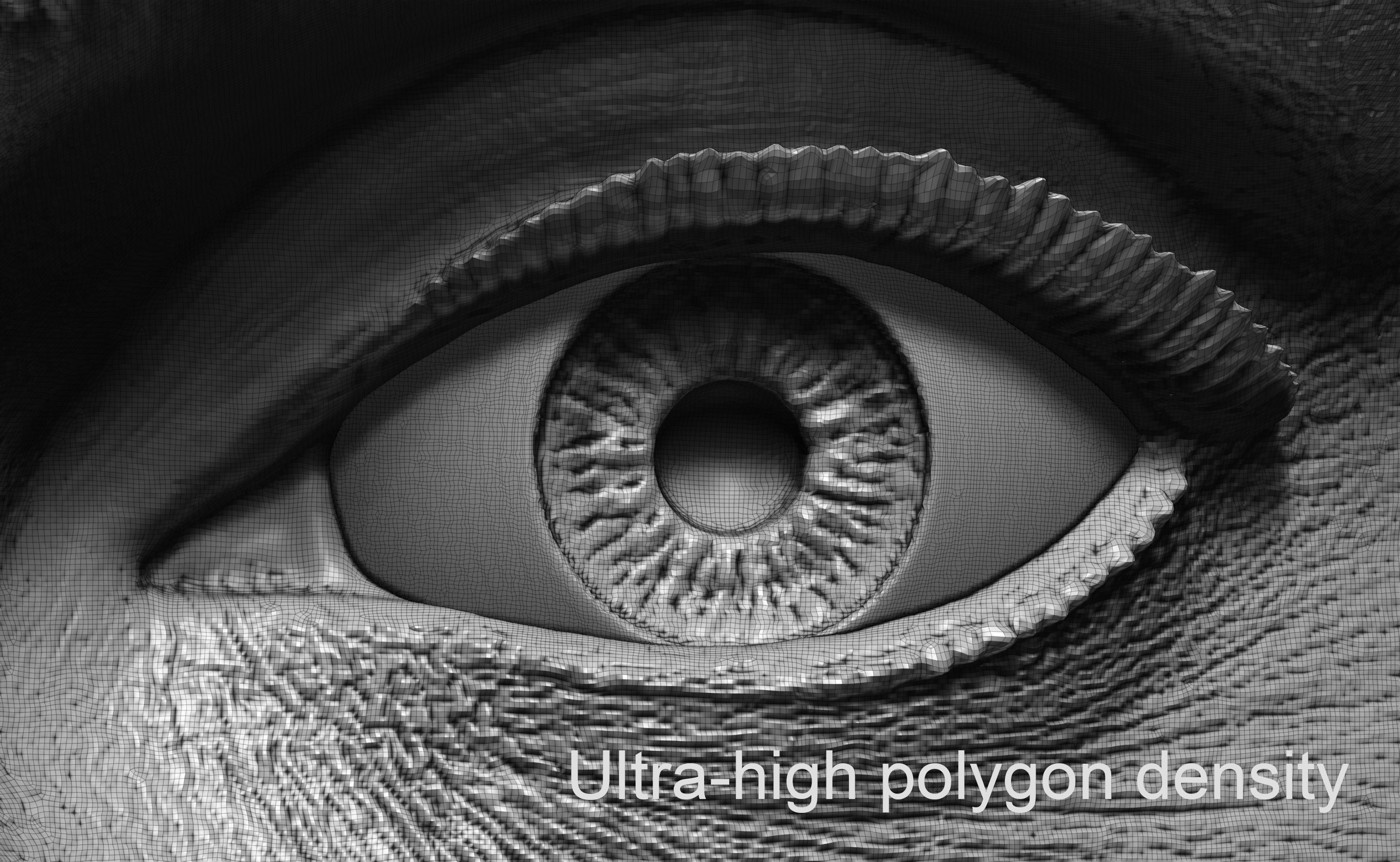 Gates McFadden as Beverly Crusher Bust Printable 3D Model 3D print model_10